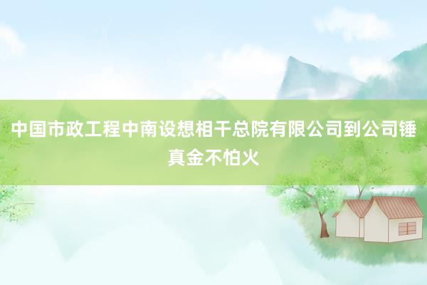 中国市政工程中南设想相干总院有限公司到公司锤真金不怕火